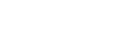 E- 10.5 PIEL NAPA CASCO OPCIONAL SUELA ELASTOMERO HORMA 700
